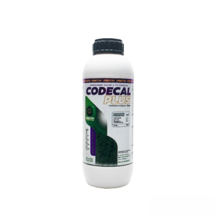 CODECAL PLUS